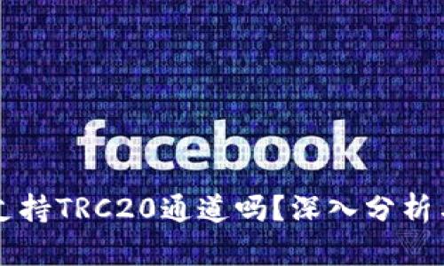 tpWallet支持TRC20通道吗？深入分析与使用指南