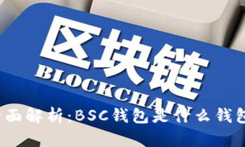 全面解析：BSC钱包是什么钱包？