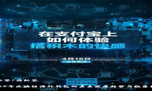 伪标签/伪标签

2024年区块链海外钱包的未来发展趋势与投资机会