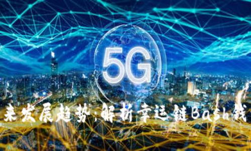 diaoti虚拟币未来发展趋势：解析幸运链Bash钱包下载及其潜力