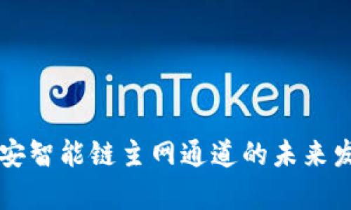 tpWallet币安智能链主网通道的未来发展趋势分析