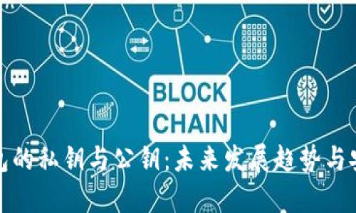 数字币钱包的私钥与公钥：未来发展趋势与安全性分析