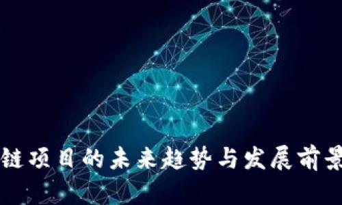 区块链项目的未来趋势与发展前景分析