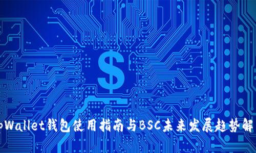 tpWallet钱包使用指南与BSC未来发展趋势解析