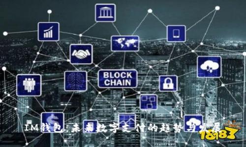 IM钱包：未来数字支付的趋势与发展