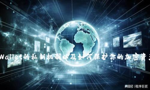 tpWallet（Trust Protocol Wallet）是一款新兴的数字货币钱包，旨在帮助用户安全地存储和管理他们的加密资产。在讨论tpWallet的私钥问题时，我们需要了解一些基本概念。

## 私钥的基础知识

私钥是用户访问和控制其加密货币账户所必需的密钥。在区块链中，私钥是一个由字母和数字组成的字符串，通常长度较长，充当用户身份的数字证明。持有私钥的用户有权访问其相关的数字资产，任何拥有私钥的人都可以掌控相应的币。因此，保护私钥的安全性至关重要。

## tpWallet的私钥数量

tpWallet通常为每个用户生成一个唯一的私钥，用于控制该用户在钱包中所持有的所有资产。这意味着：

- **一个私钥**： 每个tpWallet账户通常对应一个私钥，这个私钥可以用来管理用户在该钱包中的所有资产。
- **助记词**：用户在创建wallet时会生成一个助记词（通常是12或24个单词），这个助记词其实是私钥的备份，用户可以使用这个助记词恢复自己的钱包。

## 私钥的管理和安全性

在使用tpWallet及其他任何加密货币钱包时，确保私钥的安全至关重要。以下是一些保护私钥的建议：

- **备份助记词**：将助记词保存在安全的地方，不要与他人分享。
- **启用双重验证**：如果钱包支持双重验证功能，务必启用此功能以增加额外的安全层。
- **定期更新软件**：确保钱包软件是最新版本，以防止安全漏洞。
- **小心网络钓鱼**：在输入私钥或助记词时，确保使用官方的软件和网站。

使用tpWallet时，了解并妥善管理私钥是保障数字资产安全的重要一环。希望以上信息可以帮助你更好地理解tpWallet的私钥机制以及如何保护你的加密资产。 

如果你有其他问题或者需要更进一步的信息，欢迎提出！