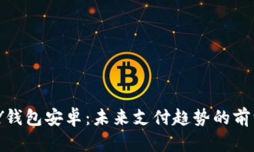 KDPAY钱包安卓：未来支付趋势的前沿探索