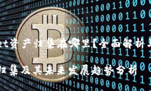 ### tpWallet资产归集在哪里？全面解析与未来发展趋势

tpWallet资产归集及其未来发展趋势分析