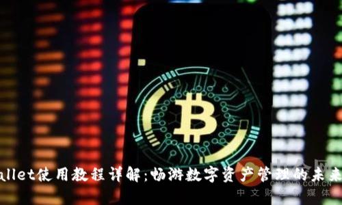 tpWallet使用教程详解：畅游数字资产管理的未来趋势