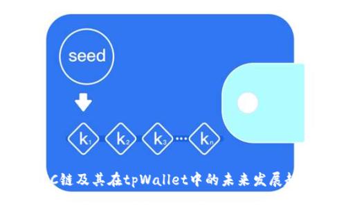 KCC链及其在tpWallet中的未来发展趋势