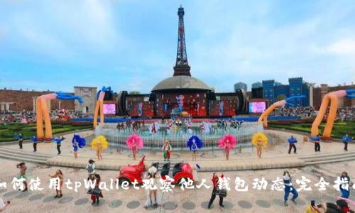 如何使用tpWallet观察他人钱包动态：完全指南