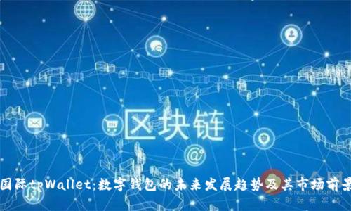 弘盛国际tpWallet：数字钱包的未来发展趋势及其市场前景分析
