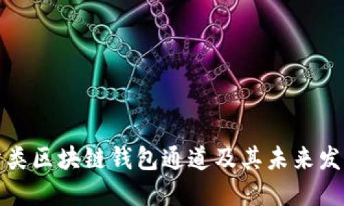 如何分类区块链钱包通道及其未来发展趋势