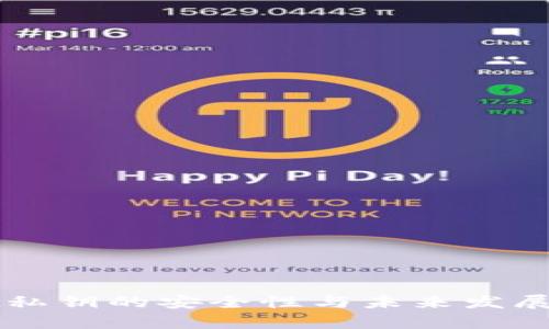 tpWallet私钥的安全性与未来发展趋势分析