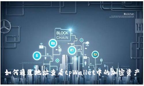 如何通过地址查看tpWallet中的加密资产