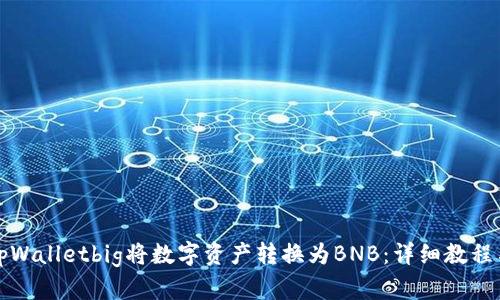 如何通过tpWalletbig将数字资产转换为BNB：详细教程与实用技巧