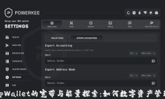 tpWallet的宽带与能量探索：