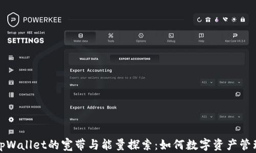 
tpWallet的宽带与能量探索：如何数字资产管理