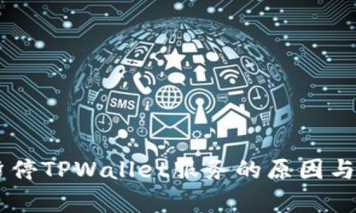 币安链暂停TPWallet服务的原因与影响分析