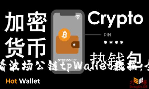 如何查看波场公链tpWallet数据：全面指南