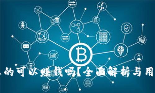 tpWallet真的可以赚钱吗？全面解析与用户体验分析