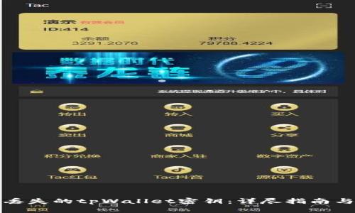 如何找回丢失的tpWallet密钥：详尽指南与解决方案