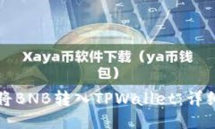 如何将BNB转入TPWallet：详细