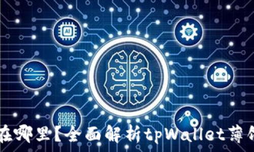   
tpWallet薄饼在哪里？全面解析tpWallet薄饼的使用与获取