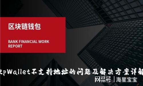 tpWallet不支持地址的问题及解决方案详解