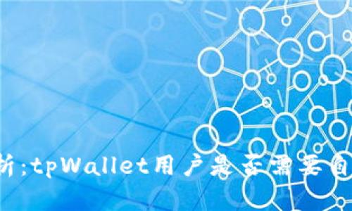 深入解析：tpWallet用户是否需要自投资金？