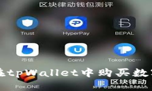 如何通过人民币在tpWallet中购买数字货币的详细指南