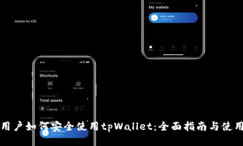 大陆用户如何安全使用tpWallet：全面指南与使用技巧