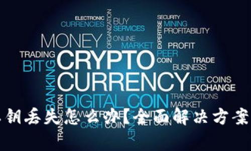 tpWallet私钥丢失怎么办？全面解决方案与预防措施