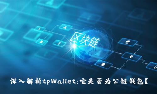 深入解析tpWallet：它是否为公链钱包？