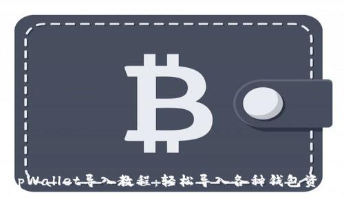 tpWallet导入教程：轻松导入各种钱包资产