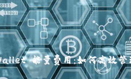 : 深入解析 tpWallet 能量费用:如何高效管理你的数字资产?