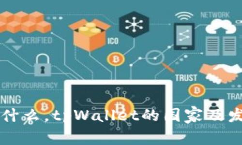 tpWallet是什么，tpWallet的国家及发展背景分析