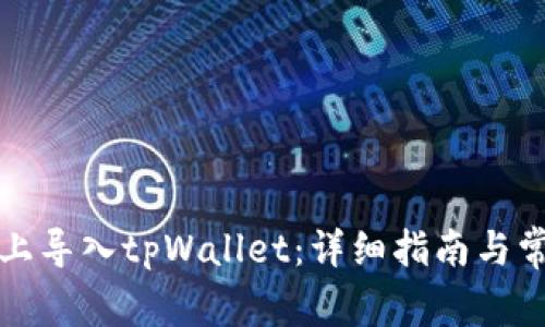 如何在电脑上导入tpWallet：详细指南与常见问题解答