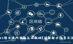 tpWallet转交易所错链怎么找