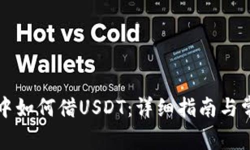 在tpWallet中如何借USDT：详细指南与常见问题解答