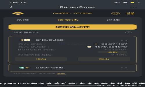 tpWallet如何查看矿池：新手攻略与详细步骤