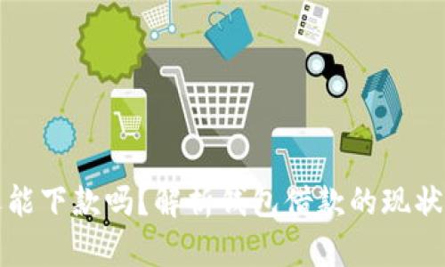 钱包还能下款吗？解析钱包借款的现状与前景