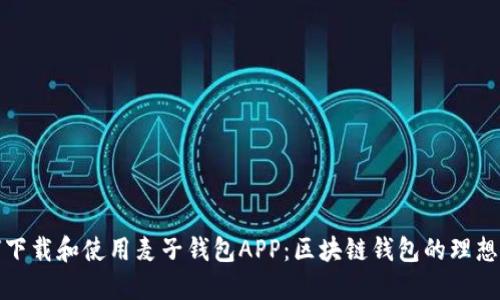 如何下载和使用麦子钱包APP：区块链钱包的理想选择
