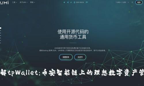 深入了解tpWallet：币安智能链上的理想数字资产管理工具
