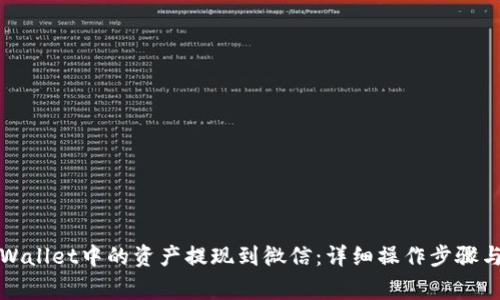 如何将tpWallet中的资产提现到微信：详细操作步骤与注意事项
