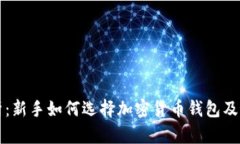 全面解析：新手如何选择加密货币钱包及最佳推