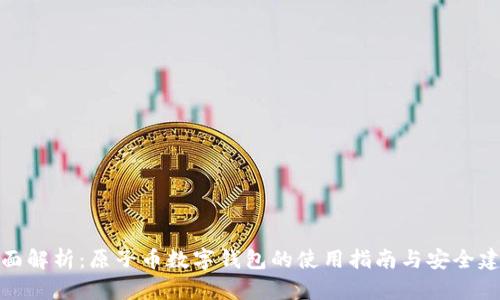 全面解析：原子币数字钱包的使用指南与安全建议